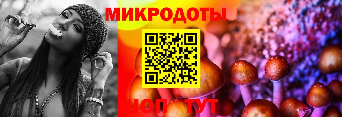Галлюциногенные грибы мицелий  Вход с VPN  Шали 
